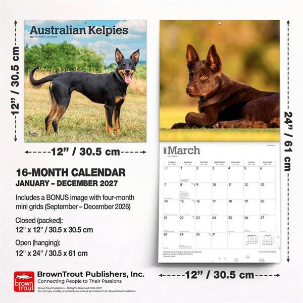 Australian Kelpies Calendar 2027, Wall Calendars, Month To View, Dogs, Gift