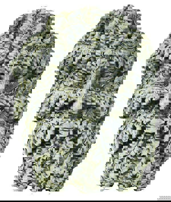 Large Green Man and Woman Stone Cast Leaf Wall Plaques