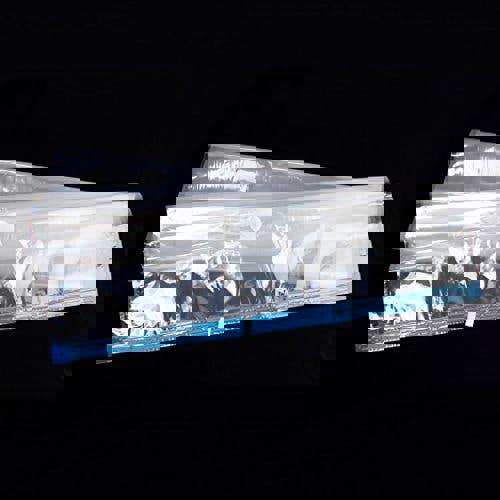 1 x Vaccum Seal Compressed Storage Bag Space Saver Saving 60x80cm