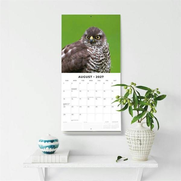 Birds of Prey Calendar 2027, Wall Calendars, Month To View, Animals, Gift