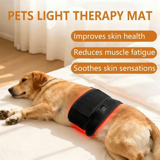 Havendro LED Red Light Therapy Belt 660nm 850nm Infrared Wrap