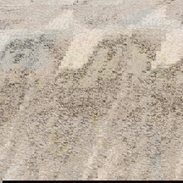Asiatic Mirage Haze Biege Rug