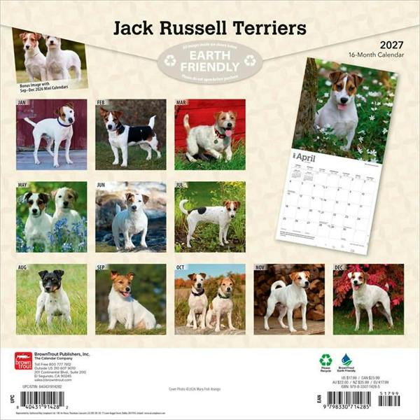 Jack Russell Terriers Calendar 2027, Wall Calendars, Month To View, Dogs, Gift