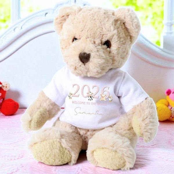 Personalised Pink Farm Animals Baby Gift Box - Teddy & Vest