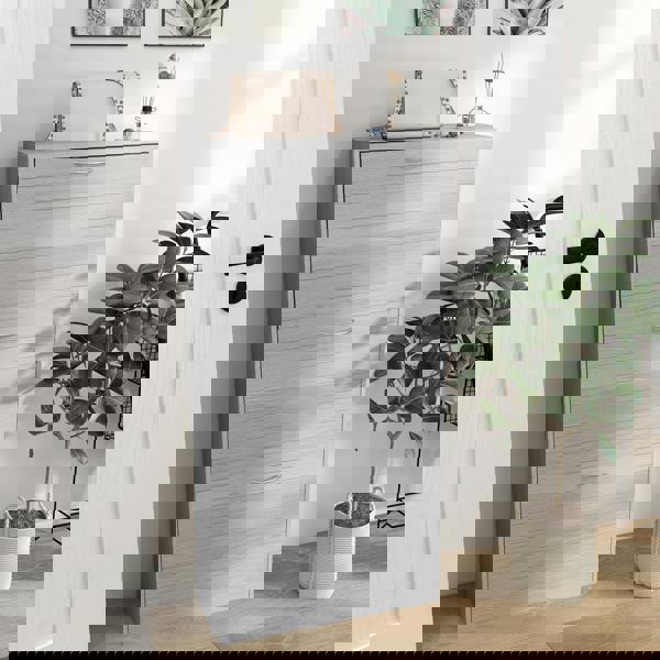 Flip-down Shoe Cabinet