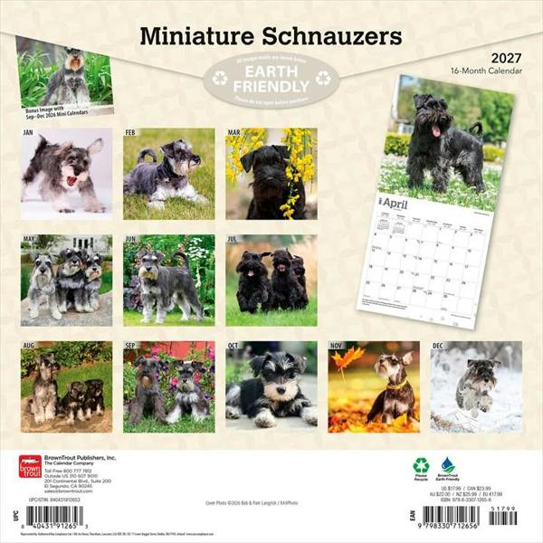 Miniature Schnauzers Calendar 2027, Wall Calendars, Month To View, Dogs, Gift