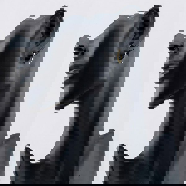 T. H. Baker Silver Gold Plated 11mm Sleeper Hoop Earrings S3525