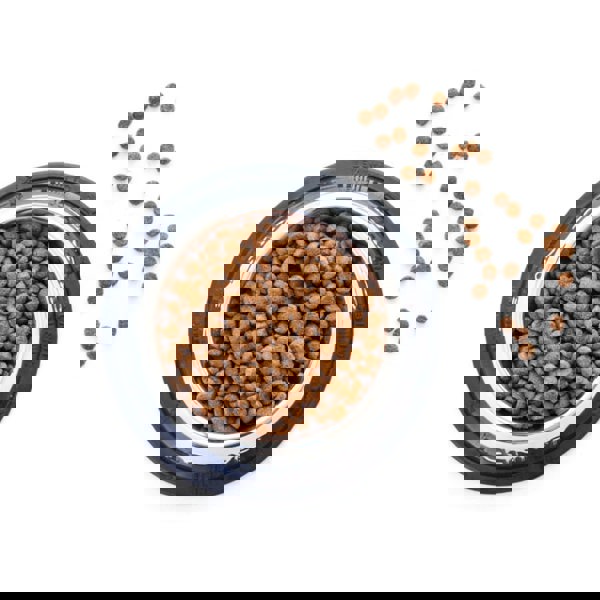 Clinivet Adult Junior Dog Food