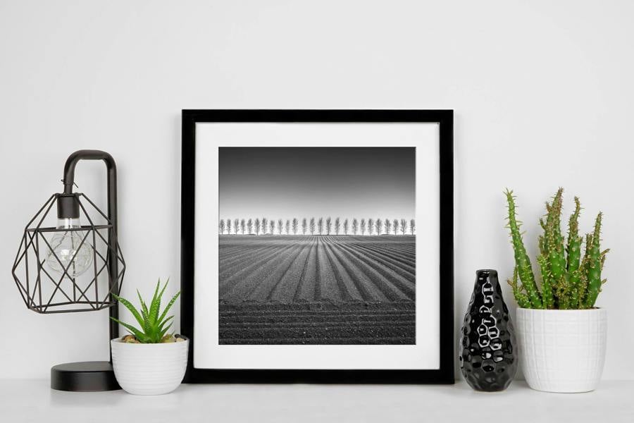 Black and white countryside landscape wall art