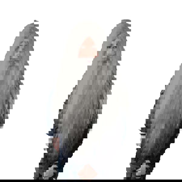 Bristol Novelty Mens Long Wizard Wig And Beard - Grey - 