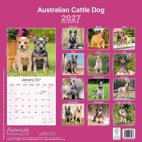 Australian Cattle Dog Calendar 2027, Wall Calendars, Month To View, Dogs, Gift