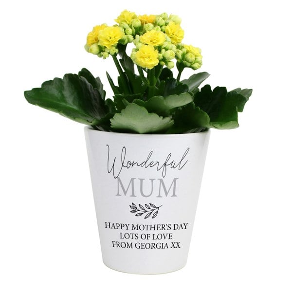 Personalised Memento Company Personalised Free Text Plant Pot