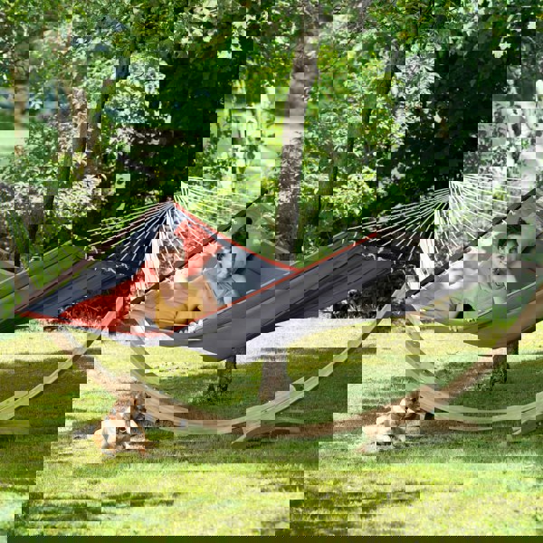 Amazonas American Dream Grey Hammock