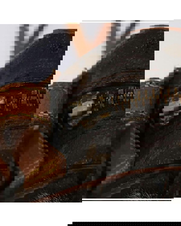 193981355.jpg