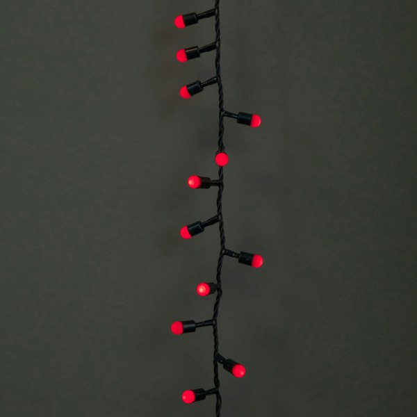 Samuel Alexander 300 Christmas Berry String Lights in Red with Multi-Action LEDs