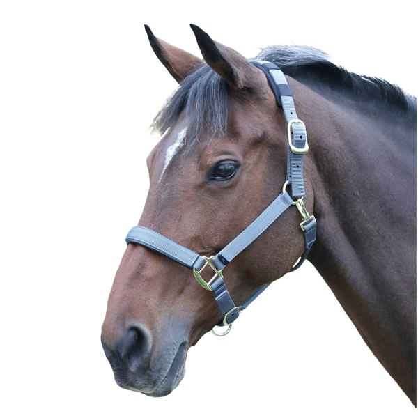 Shires Topaz Nylon Horse Headcollar - Grey