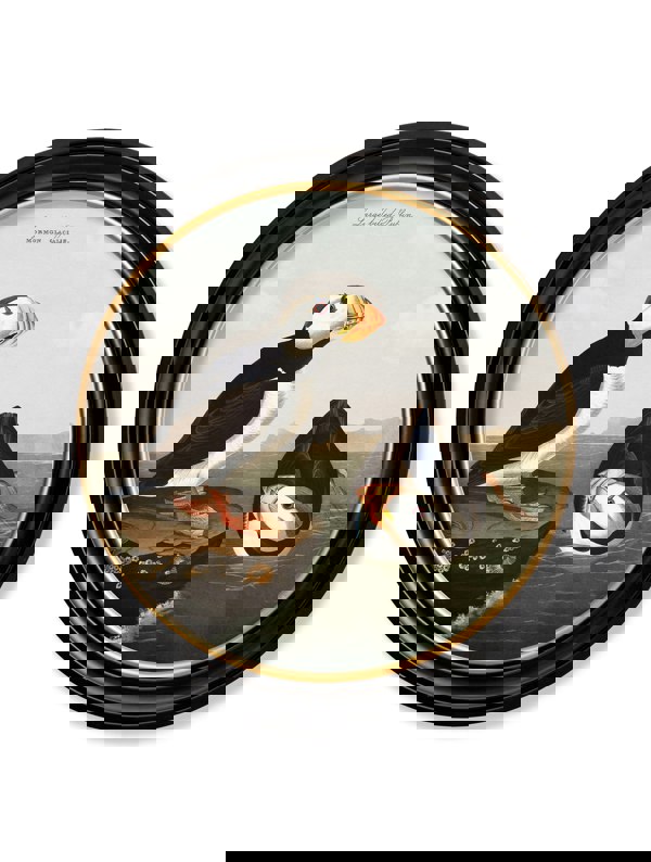 Exceptional Art c.1838 Audubon's Puffins - Round Frame
