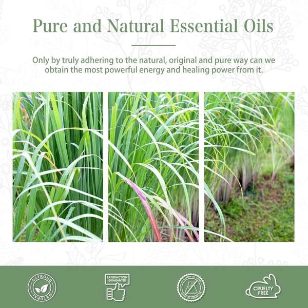 Phatoil Essential Oils