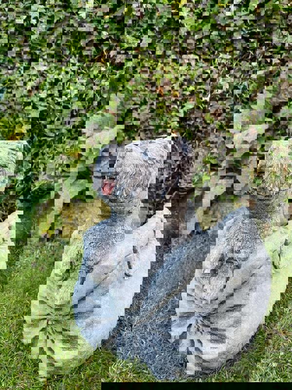 Puppy in Bag Stone Planter