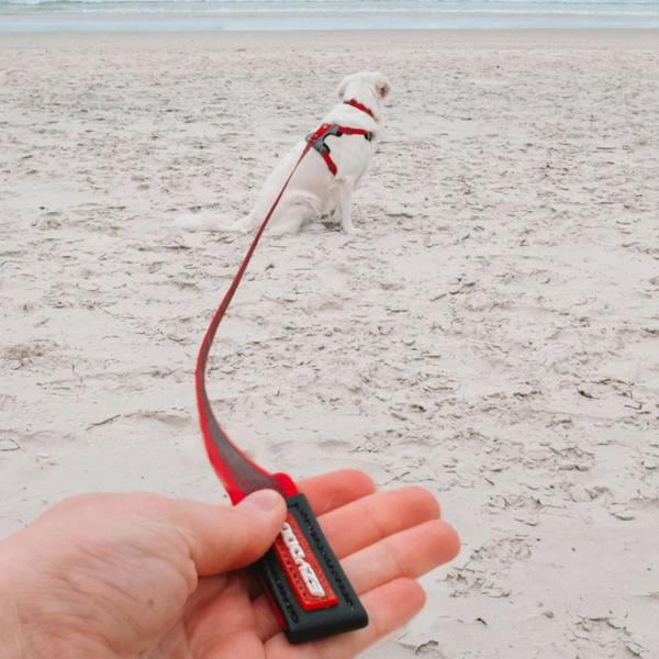 EzyDog Track 'N' Train Long Dog Lead