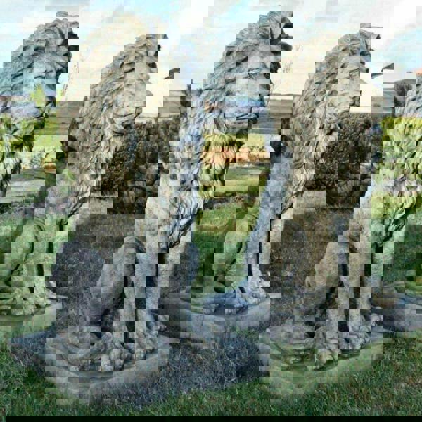 Pair of stunning large sitting lion statues