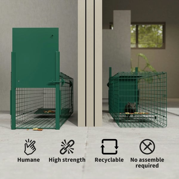 Animal Trap