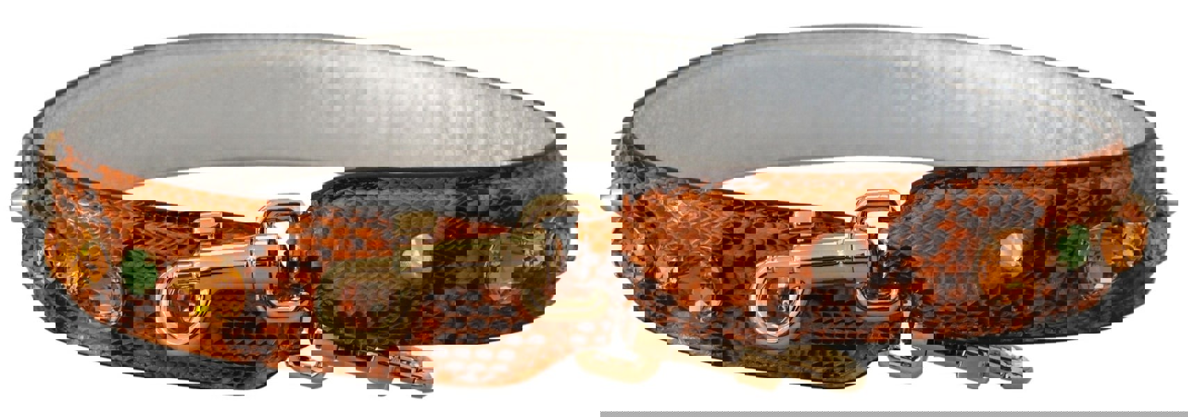 153088109.jpg