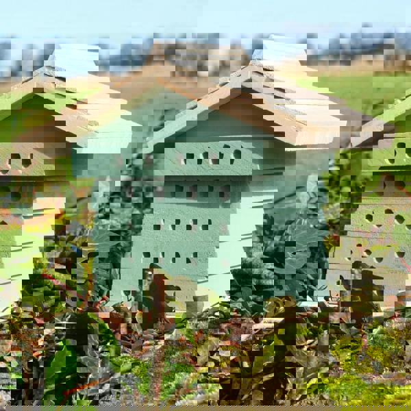 Wooden Bee House Insect Habitat with Multi-Hole Nesting Blocks