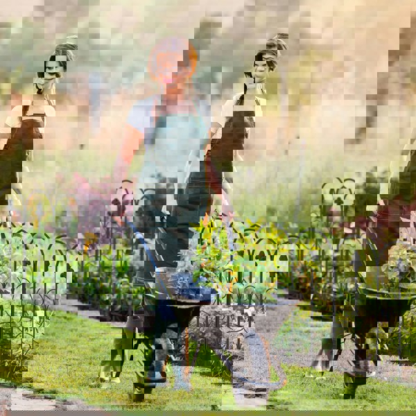 Garden Fence