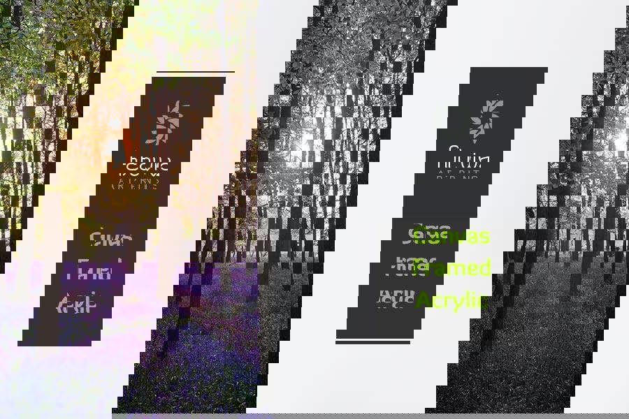 Fernlight Gallery Bluebell Sunrise