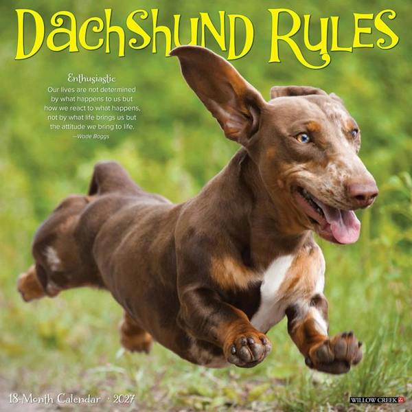 Dachshund Rules Calendar 2027, Wall Calendars, Month To View, Dogs, Gift