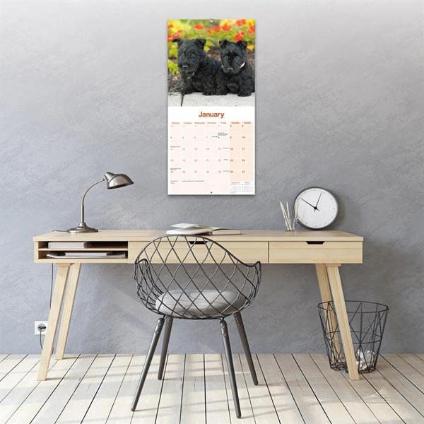 Scottish Terrier Calendar 2027, Wall Calendars, Month To View, Dogs, Gift