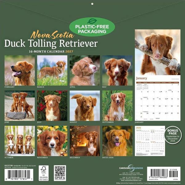 Nova Scotia Duck Tolling Retriever Calendar 2027, Wall Calendars, Month To View, Dogs, Gift