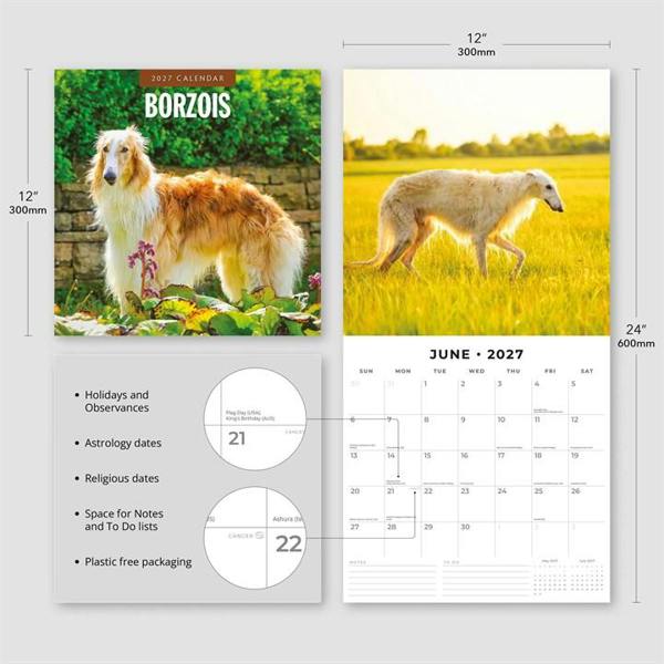 Borzois Calendar 2027, Wall Calendars, Month To View, Dogs, Gift