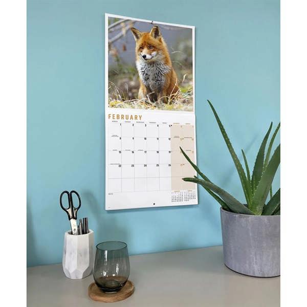 Foxes Calendar 2027, Wall Calendars, Month To View, Animals, Gift