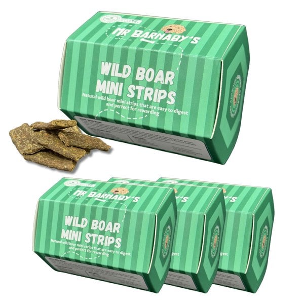 Mr Barnaby's Wild Boar Mini Strips Dog Treats (Pack of 4)