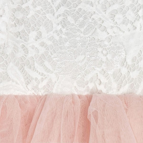 Close up of lace and blush tulle