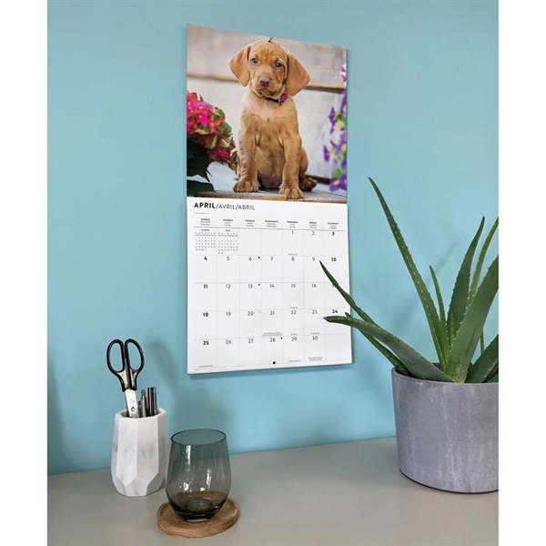Vizslas Calendar 2027, Wall Calendars, Month To View, Dogs, Gift