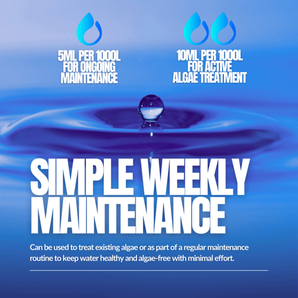 ProKleen Pro-Kleen Pool Algae Remover 10L - Removes & Prevents Algae Growth - High Concentration, Long-Lasting Professional Formula