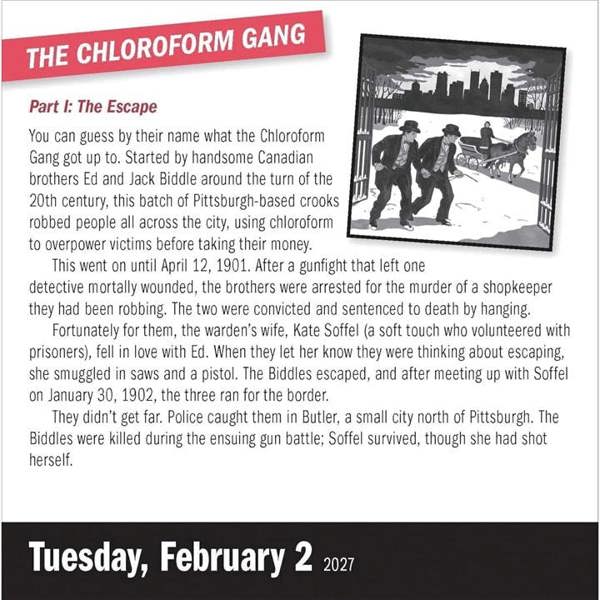 A Year of True Crime Desk Calendar 2027, Desk Calendars, Day To View, History & Literature, Gift