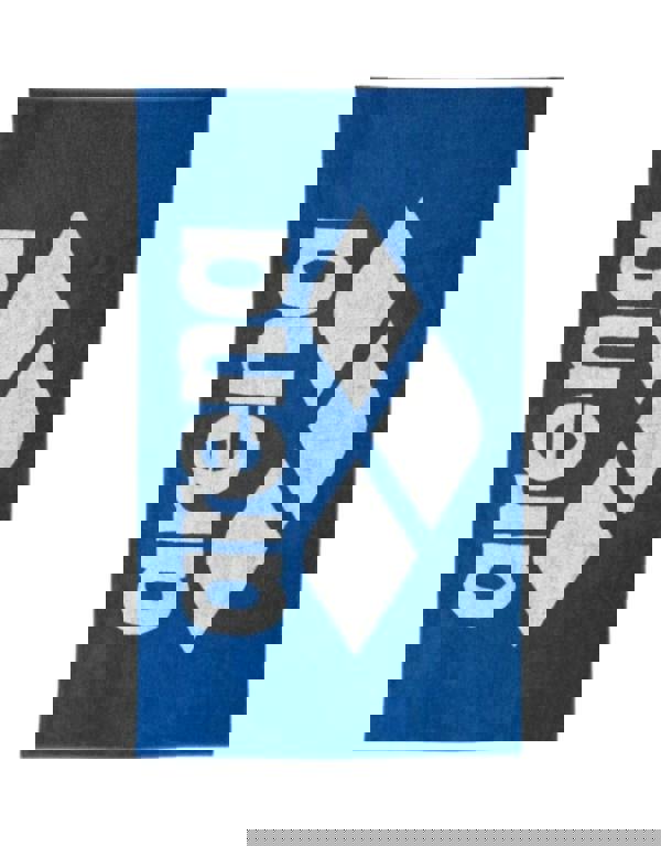 Arena Soft Pool Towel