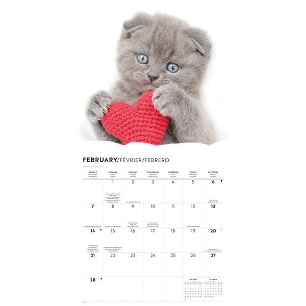 Cats Calendar 2027, Wall Calendars, Month To View, Cats, Gift
