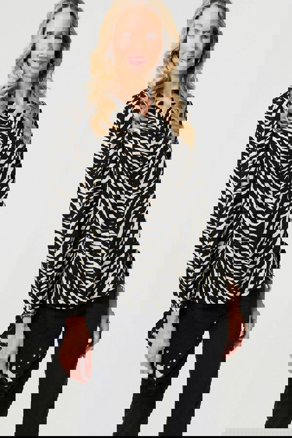 Black | Zebra Print V-Neck Long Sleeve Blouse

