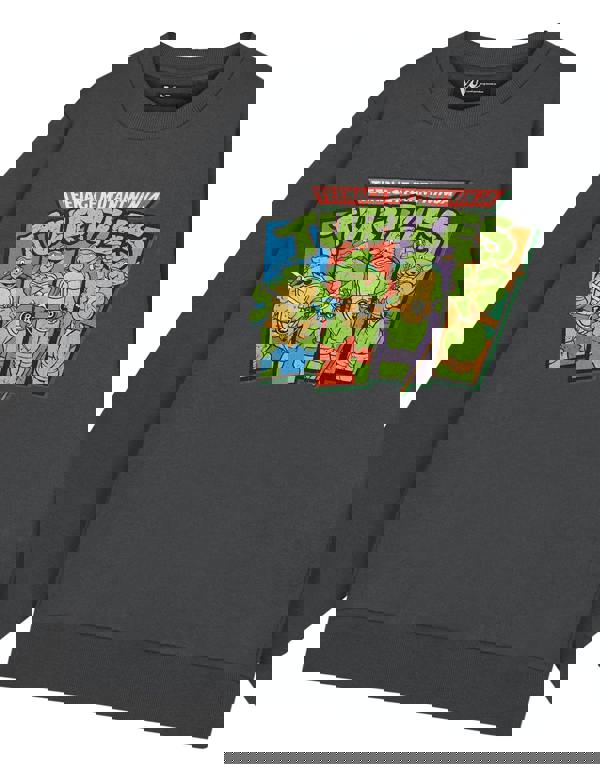 Teenage Mutant Ninja Turtles Mens Grey Retro Sweatshirt Sweatshirt