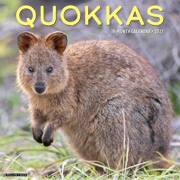 Quokkas Calendar 2027, Wall Calendars, Month To View, Animals, Gift