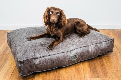 Snug and Cosy Pets Rhodeo Lounger