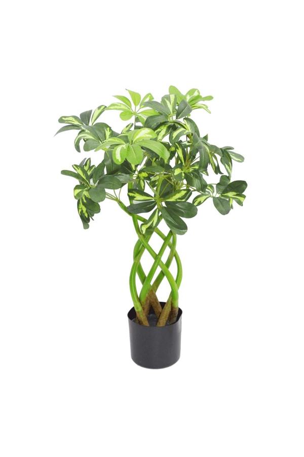 Dyzi 70cm Leaf Artificial Arboricola Evergreen Plant – Golden Capella