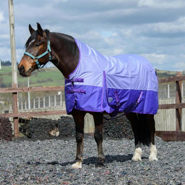 eQuitack 600D Outdoor Winter Lightweight Waterproof Horse Turnout Rug 0g No Fill Half Neck Nylon Lined Double Buckle Lavender/Purple