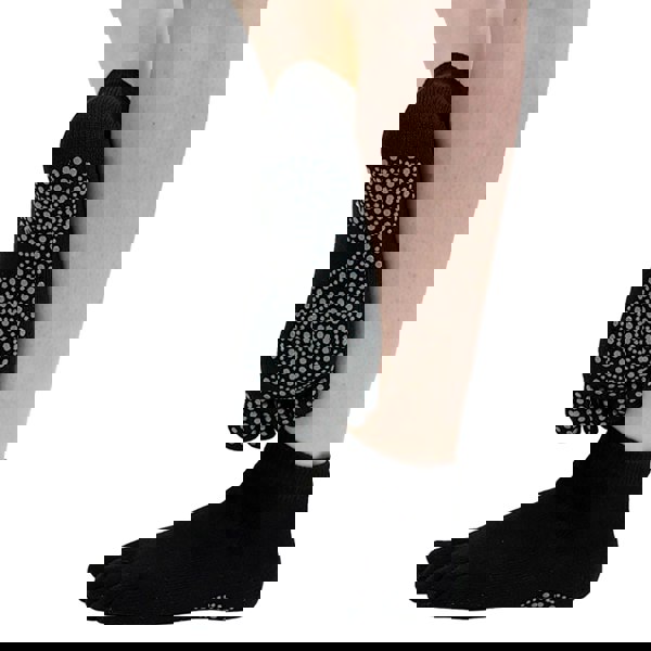 t4option1_0