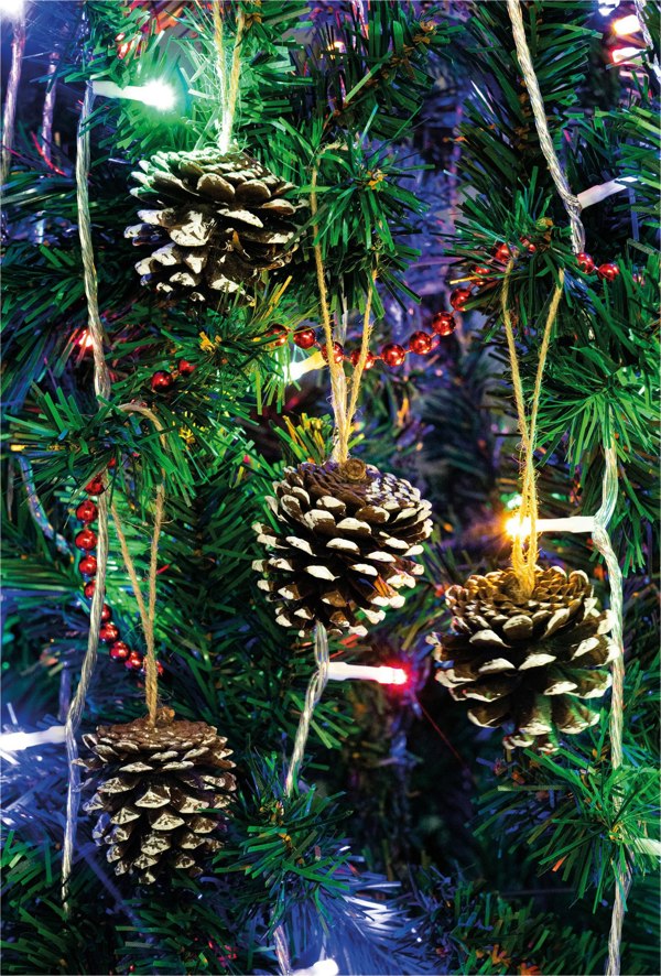 St Helens White Tipped Hanging Pinecone - Set Of 6